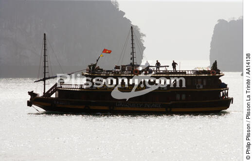 Jonque in bay of Ha Long - © Philip Plisson / Plisson La Trinité / AA14138 - Photo Galleries - Junk