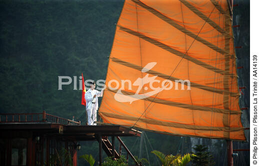 Jonque in bay of Ha Long - © Philip Plisson / Plisson La Trinité / AA14139 - Photo Galleries - Vietnam