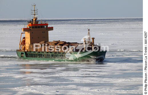 Transport de bois en mer Baltique. - © Philip Plisson / Plisson La Trinité / AA14297 - Nos reportages photos - Cargo