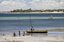 Ifaty - Madagascar. © Philip Plisson / Plisson La Trinité / AA14621 - Photo Galleries - Mozambique Canal
