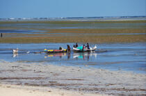 Ifaty - Madagascar. © Philip Plisson / Plisson La Trinité / AA14626 - Nos reportages photos - Canal de Mozambique