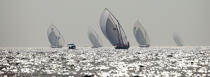 Dhow regatta in Dubaï. © Philip Plisson / Plisson La Trinité / AA14889 - Photo Galleries - Dhow