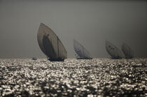 Dhow regatta in Dubaï. © Philip Plisson / Plisson La Trinité / AA14890 - Photo Galleries - Dubai