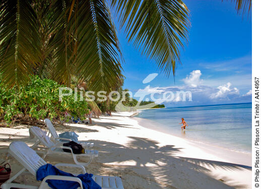 Vacances aux Seychelles. - © Philip Plisson / Plisson La Trinité / AA14957 - Nos reportages photos - Horizontal