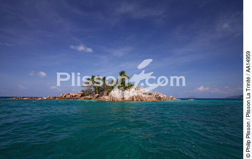 Les Seychelles. - © Philip Plisson / Plisson La Trinité / AA14959 - Nos reportages photos - Flore