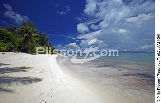 Beach in Seychelles. - © Philip Plisson / Plisson La Trinité / AA14996 - Photo Galleries - Beach