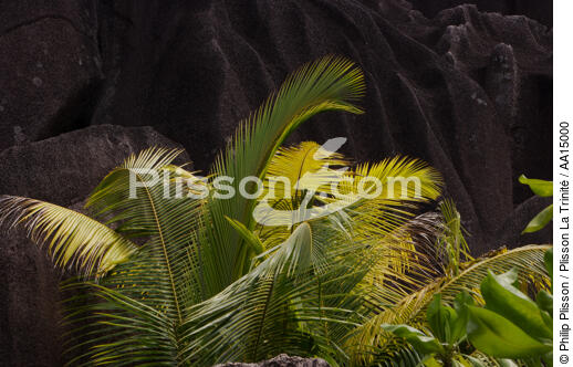 Les Seychelles. - © Philip Plisson / Plisson La Trinité / AA15000 - Nos reportages photos - Rocher