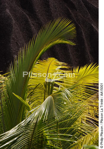 Les Seychelles. - © Philip Plisson / Plisson La Trinité / AA15001 - Nos reportages photos - Rocher