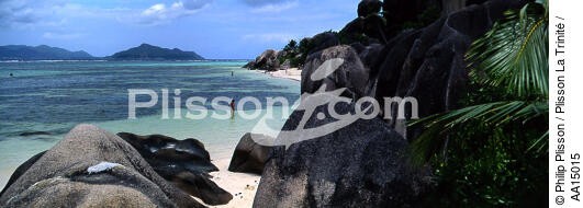 The Seychelles. - © Philip Plisson / Plisson La Trinité / AA15015 - Photo Galleries - Flora