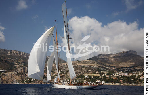 Eleonora - Classic Week 2007 - © Philip Plisson / Plisson La Trinité / AA15361 - Photo Galleries - Classic Yachting