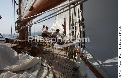 Eleonora - Classic Week 2007 - © Philip Plisson / Plisson La Trinité / AA15367 - Photo Galleries - Schooner [Yachting]