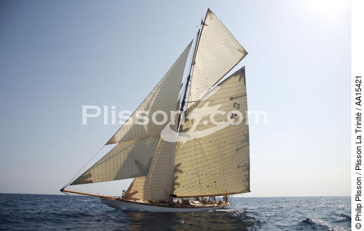 Classic Week 2007 - © Philip Plisson / Plisson La Trinité / AA15421 - Photo Galleries - Classic Yachting