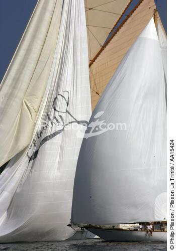 Lulworth - Classic Week 2007 - © Philip Plisson / Plisson La Trinité / AA15424 - Photo Galleries - Classic Yachting