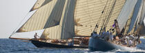 Les voiles de Saint Tropez 2007 © Guillaume Plisson / Plisson La Trinité / AA15522 - Nos reportages photos - Yachting