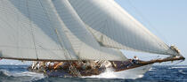 Les voiles de Saint Tropez 2007 © Guillaume Plisson / Plisson La Trinité / AA15542 - Photo Galleries - Classic Yachting