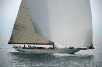 The sails of Saint Tropez © Guillaume Plisson / Plisson La Trinité / AA15602 - Photo Galleries - Yachting