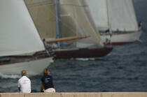 The sails of Saint Tropez © Philip Plisson / Plisson La Trinité / AA15603 - Photo Galleries - Yachting