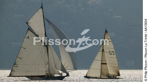 Royal Racing - © Philip Plisson / Plisson La Trinité / AA15604 - Photo Galleries - Classic Yachting