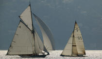 Royal Racing © Philip Plisson / Plisson La Trinité / AA15604 - Photo Galleries - Classic Yachting