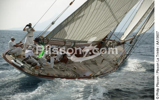 Mariquita during the Sails of Saint Tropez - © Philip Plisson / Plisson La Trinité / AA15607 - Photo Galleries - J Class yacht