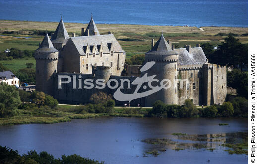 Château de Suscinio. - © Philip Plisson / Plisson La Trinité / AA15666 - Nos reportages photos - Sarzeau