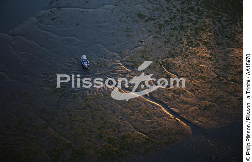 Low tyde in Crach river - © Philip Plisson / Plisson La Trinité / AA15670 - Photo Galleries - Morbihan