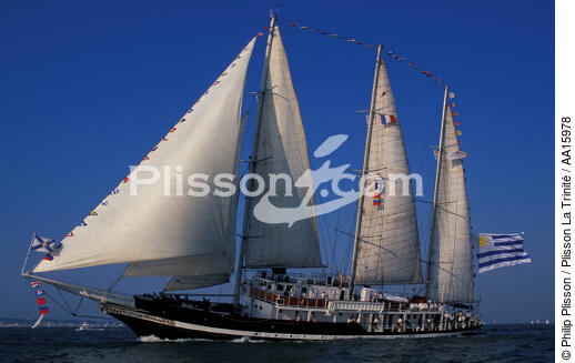 Capitan Miranda. - © Philip Plisson / Plisson La Trinité / AA15978 - Nos reportages photos - Les Grands voiliers