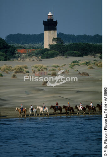Espiguette lighthouse. - © Philip Plisson / Plisson La Trinité / AA15993 - Photo Galleries - Mammal