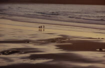 La plage des Sables d'Olonne © Philip Plisson / Plisson La Trinité / AA16024 - Photo Galleries - Beach
