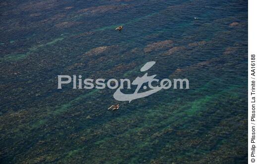 Littoral Malgache au nord de Tuléar - © Philip Plisson / Plisson La Trinité / AA16188 - Nos reportages photos - Algue