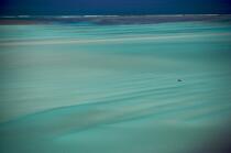 Malagasy shore north of Tuléar © Philip Plisson / Plisson La Trinité / AA16195 - Photo Galleries - Sea floor