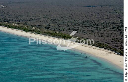 Malagasy shore north of Tuléar - © Philip Plisson / Plisson La Trinité / AA16210 - Photo Galleries - Salary