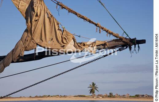 Belo sur mer - © Philip Plisson / Plisson La Trinité / AA16404 - Photo Galleries - Belo sur mer