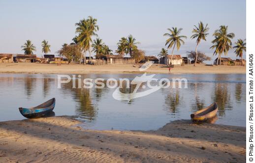 Belo sur mer - © Philip Plisson / Plisson La Trinité / AA16406 - Nos reportages photos - Flore