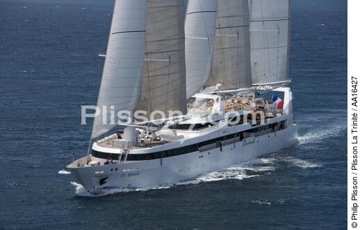 Le Ponant - © Philip Plisson / Plisson La Trinité / AA16427 - Nos reportages photos - Les Grands voiliers