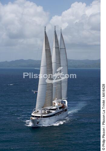 Le Ponant - © Philip Plisson / Plisson La Trinité / AA16428 - Nos reportages photos - Les Grands voiliers