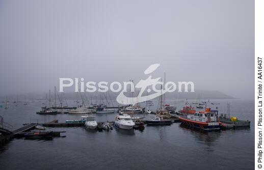 Falmouth, England - © Philip Plisson / Plisson La Trinité / AA16437 - Photo Galleries - Mist