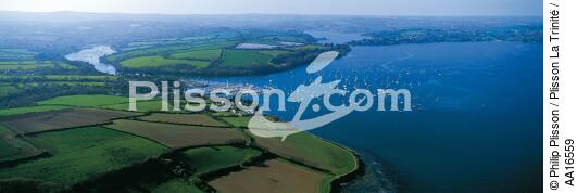 Helford River, Angleterre - © Philip Plisson / Plisson La Trinité / AA16559 - Nos reportages photos - Arbre