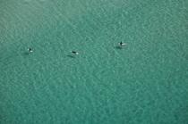 Whitesand Bay, Angleterre © Philip Plisson / Plisson La Trinité / AA16671 - Nos reportages photos - Sport nautique