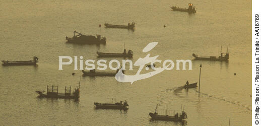 Golfe du Morbihan - © Philip Plisson / Plisson La Trinité / AA16769 - Nos reportages photos - Contre-jour