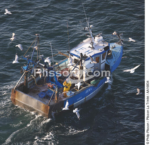Petite pêche en baie de Quiberon. - © Philip Plisson / Plisson La Trinité / AA16834 - Nos reportages photos - Le Morbihan à tire d'ailes Photos de Philip Plisson