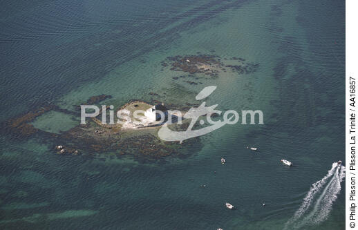 Island on Etel river. - © Philip Plisson / Plisson La Trinité / AA16857 - Photo Galleries - Morbihan