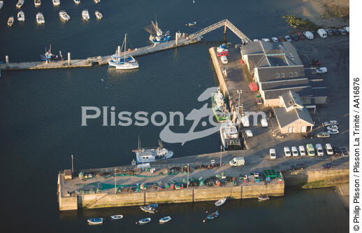 Port-Maria à Quiberon. - © Philip Plisson / Plisson La Trinité / AA16876 - Nos reportages photos - Le Morbihan à tire d'ailes Photos de Philip Plisson