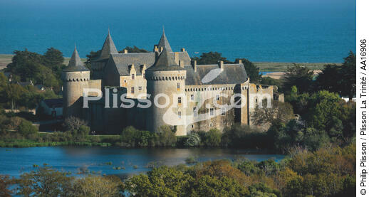 Le château de Suscinio sur la presqu'île de Rhuys. - © Philip Plisson / Plisson La Trinité / AA16906 - Nos reportages photos - Morbihan