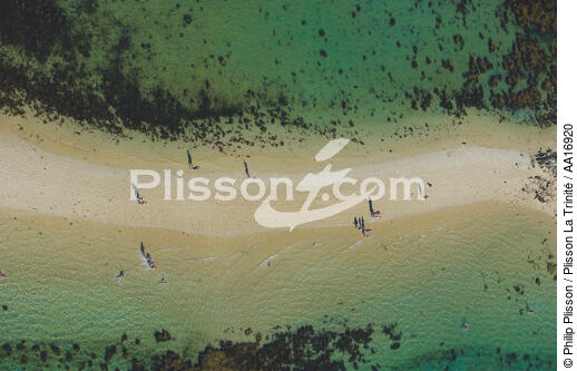 Le Men Du in the Trinité sur mer. - © Philip Plisson / Plisson La Trinité / AA16920 - Photo Galleries - Beach