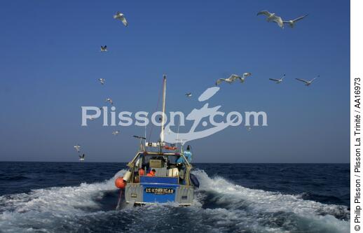 Pêcheur Houatais - © Philip Plisson / Plisson La Trinité / AA16973 - Nos reportages photos - Mouette