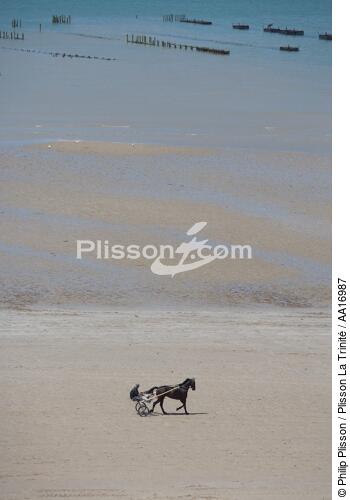 Training on a Cotentin beach. - © Philip Plisson / Plisson La Trinité / AA16987 - Photo Galleries - Horse