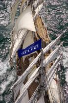 Belem © Philip Plisson / Plisson La Trinité / AA17069 - Photo Galleries - Tall ship / Sailing ship