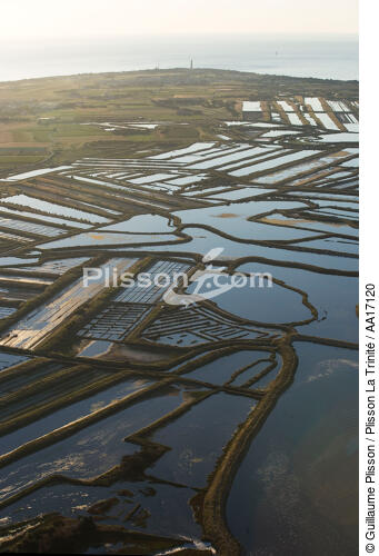 Les marais de l'ile de Ré - © Guillaume Plisson / Plisson La Trinité / AA17120 - Nos reportages photos - Saliculture