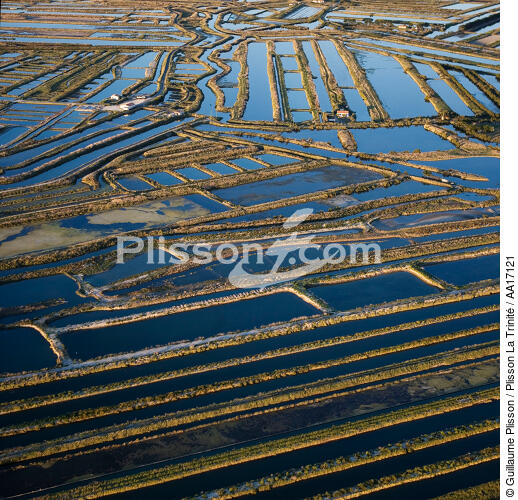 Les marais de l'ile de Ré - © Guillaume Plisson / Plisson La Trinité / AA17121 - Nos reportages photos - Saliculture